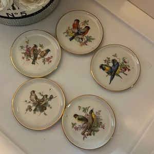 Ak Kaiser W Germany 5 Small Porcelain Bird Plates Trinket Coaster Set